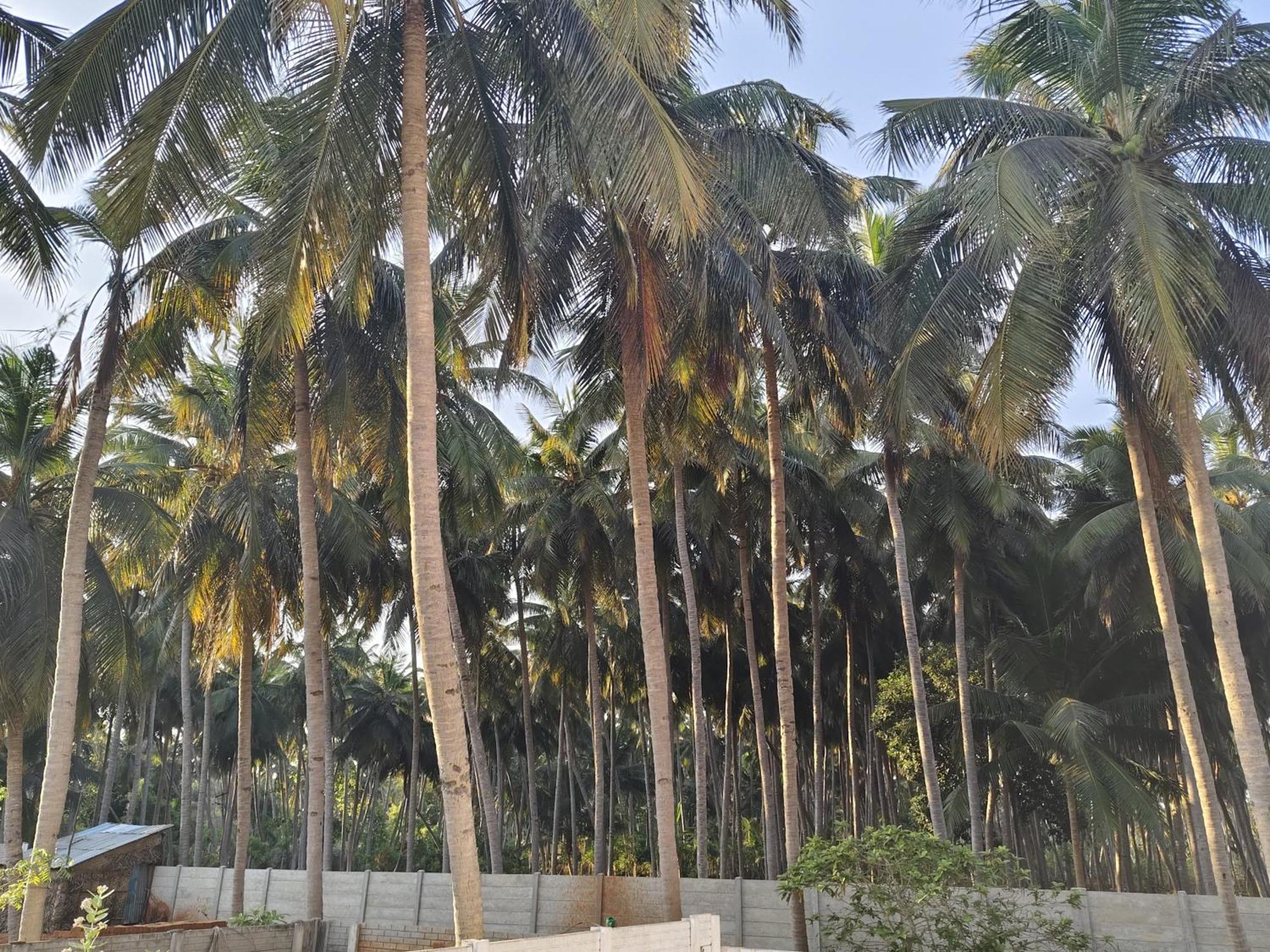 Gratitude Inn, Near Serenity Beach Puducherry Buitenkant foto